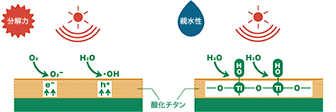 図：分解力・親水性