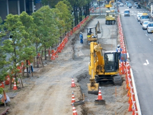 １・２ブロック中央分離帯樹木撤去